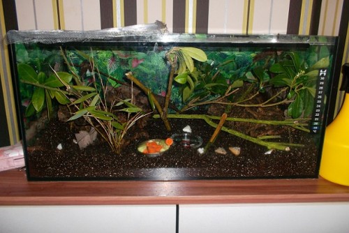 SAM_1461 - Kopie.JPG