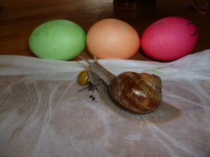 Ostern 001.JPG