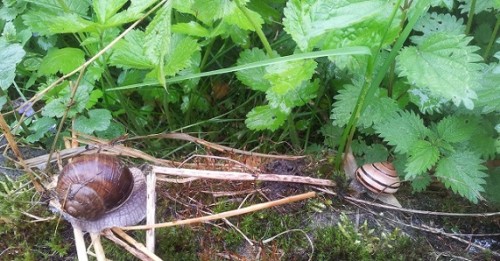 2013-05-10 17.38.47.jpg