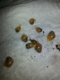 2013-05-26 21.25.28.png