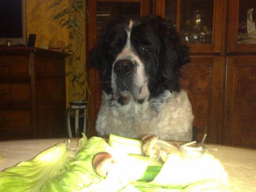 090620131935 - Kopie.jpg