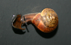 17.JPG