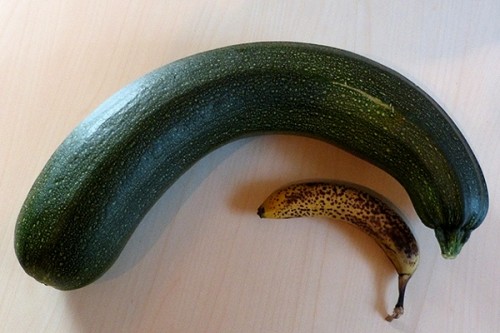 zucchini.jpg