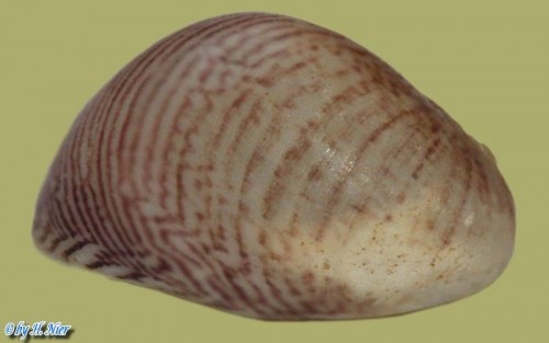 02e.jpg