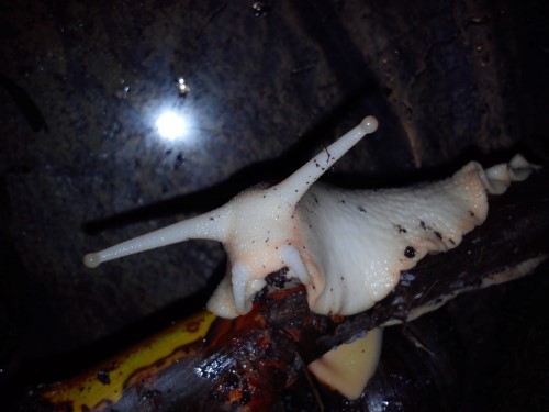 Handy 24.01.2014 047.jpg