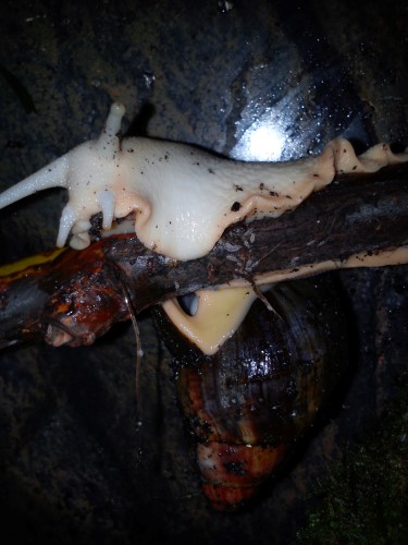 Handy 24.01.2014 048.jpg