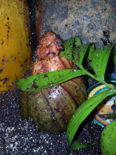 Handy 24.01.2014 146.jpg