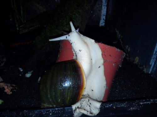 Handy 28.12.13 010.jpg