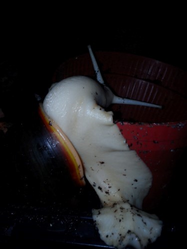 Handy 28.12.13 038.jpg