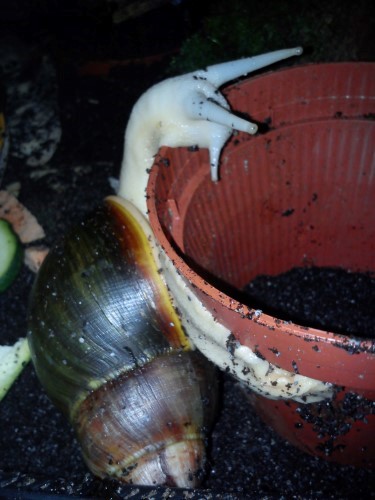 Handy 28.12.13 063.jpg