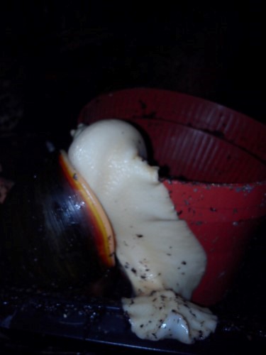 Handy 28.12.13 036.jpg