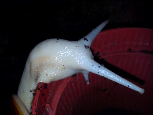 Handy 28.12.13 066.jpg