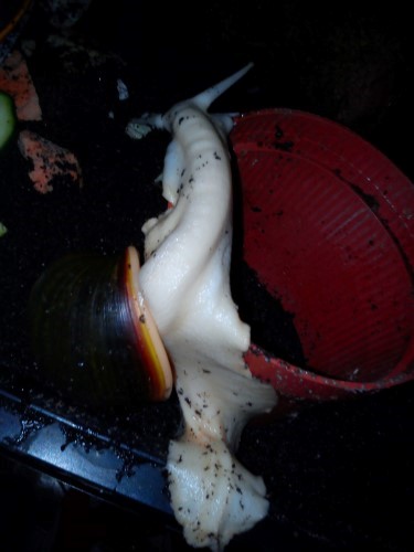 Handy 28.12.13 051.jpg