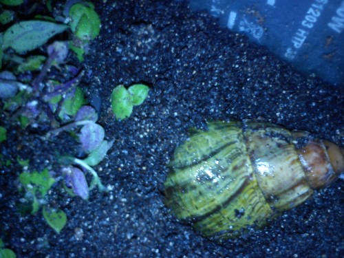 Handy 07.02.14 008.jpg