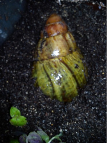 Handy 07.02.14 009.jpg