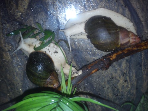 Handy 06.02.14 166.jpg