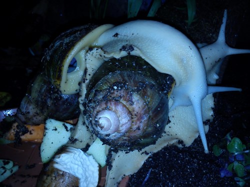 Handy 06.02.14 130.jpg