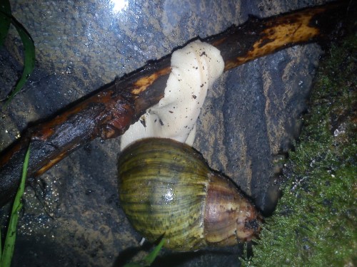 Handy 05.02.14 761.jpg