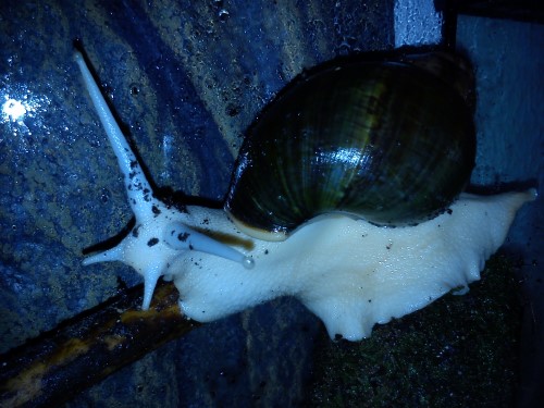 Handy 09.02.14 071.jpg