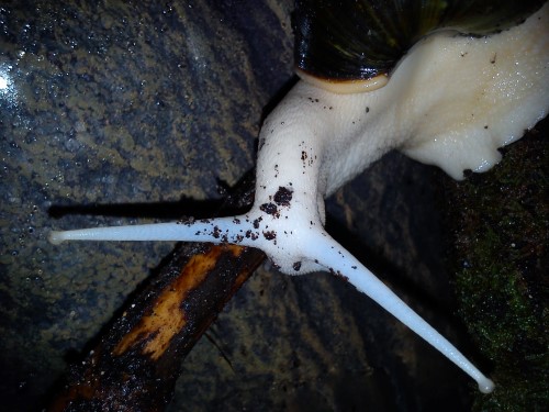 Handy 09.02.14 072.jpg