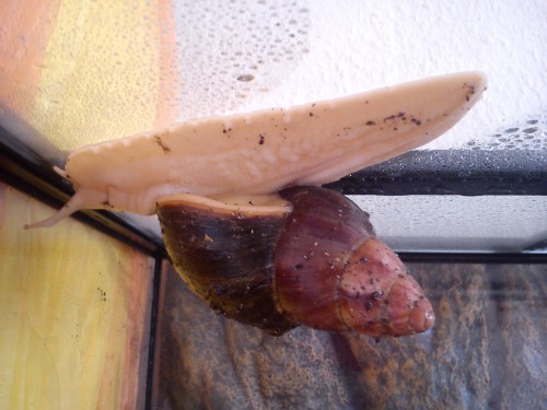 Handy 09.02.14 029.jpg