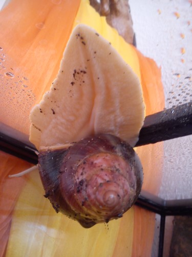 Handy 09.02.14 031.jpg