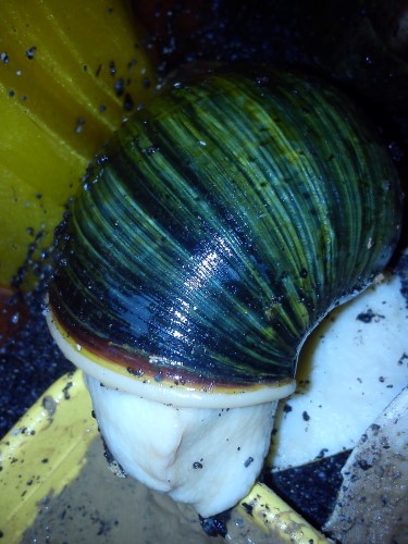 Handy 13.02.2014 138.jpg