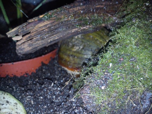 Handy 13.02.2014 410.jpg