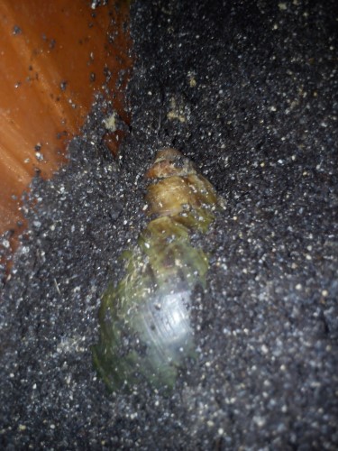 Handy 13.02.2014 414.jpg