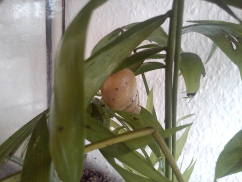 Handy 13.02.2014 408.jpg