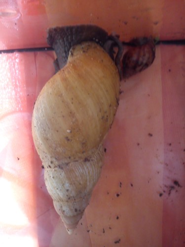 Handy 13.02.2014 415.jpg