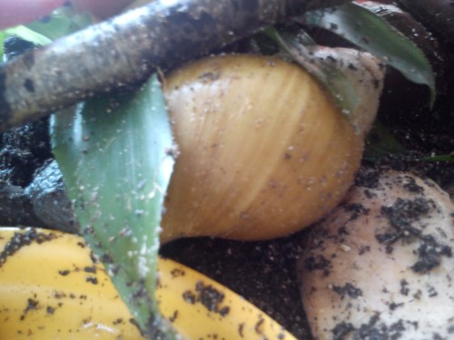 Handy 13.02.2014 416.jpg