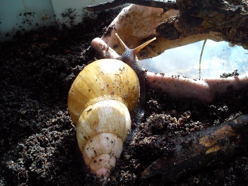 Handy 14.02.2014 019.jpg