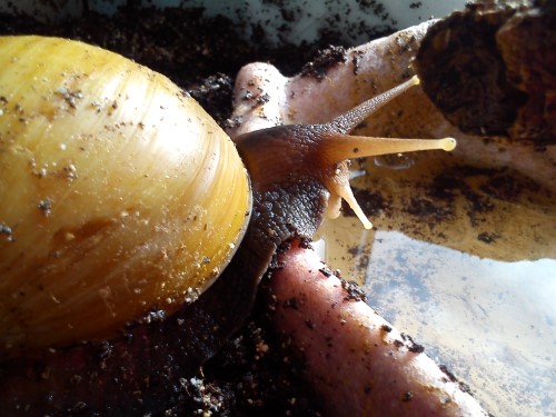 Handy 14.02.2014 021.jpg