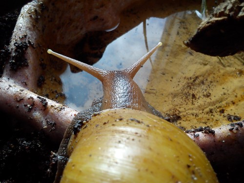 Handy 14.02.2014 023.jpg