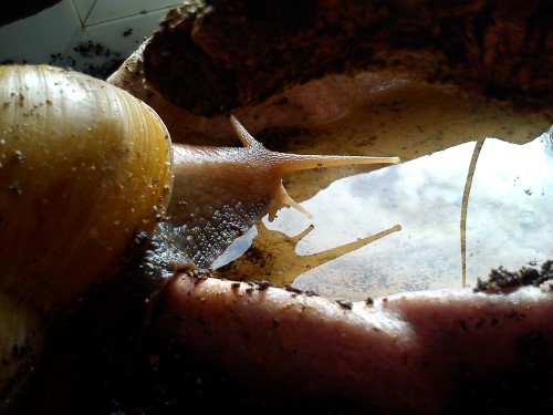 Handy 14.02.2014 029.jpg