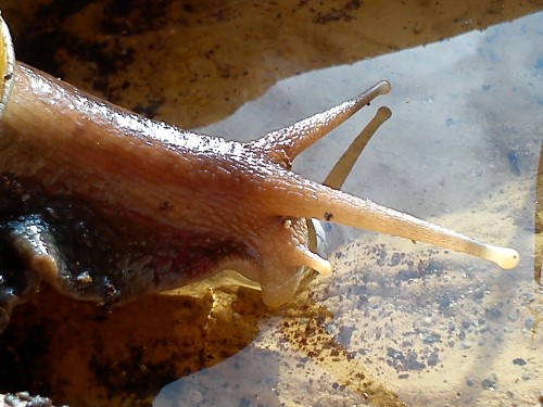 Handy 14.02.2014 041.jpg