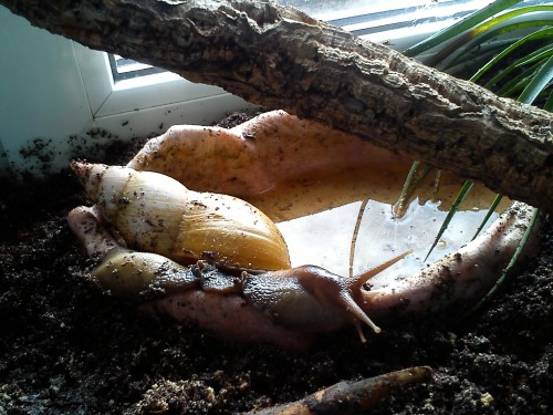 Handy 14.02.2014 059.jpg