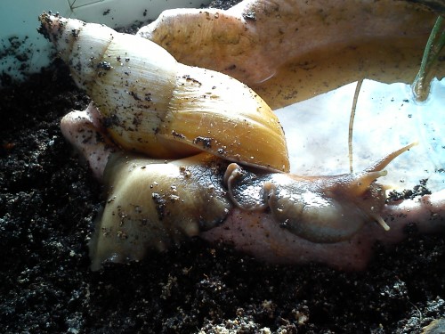 Handy 14.02.2014 051.jpg