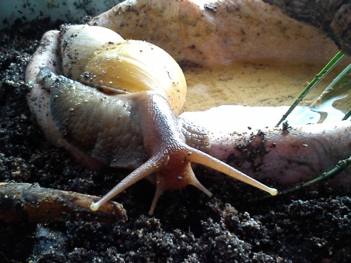 Handy 14.02.2014 067.jpg