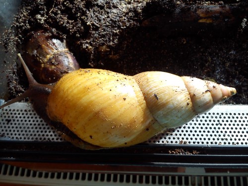 Handy 14.02.2014 098.jpg