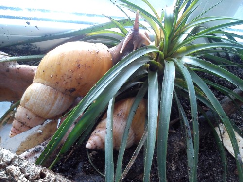 Handy 14.02.2014 014.jpg