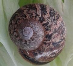 20140328_075505-1.jpg