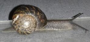20140407_063650-1.jpg