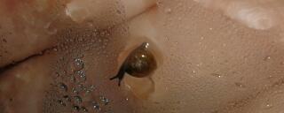 20140430_214520-1.jpg