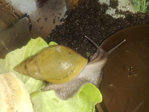 020520143225 - Kopie.jpg