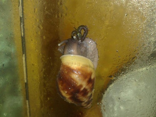 020520143226 - Kopie.jpg