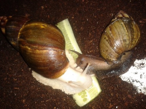 2014-05-15 22.29.34.jpg