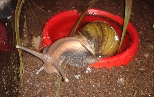 2014-05-15 22.29.43.jpg