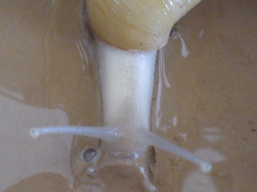 Handy 02.06.2014 519.jpg